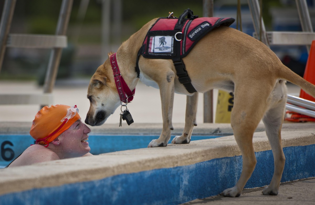 qué pueden detectar los perros de servicio