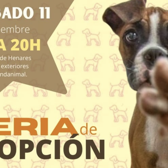 Feria de la Adopción en Alcalá de Henares de la …