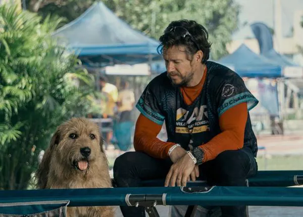 Historias de película que fomentan las adopciones de perros: Mark Wahlberg y 