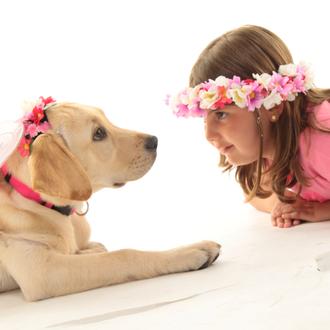 ¿Qué cuidados especiales recibe un perro de terapia?
