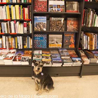 Blog Srperro Noticias Sobre Casa Del Libro Srperro La Guia Para Animales Urbanos