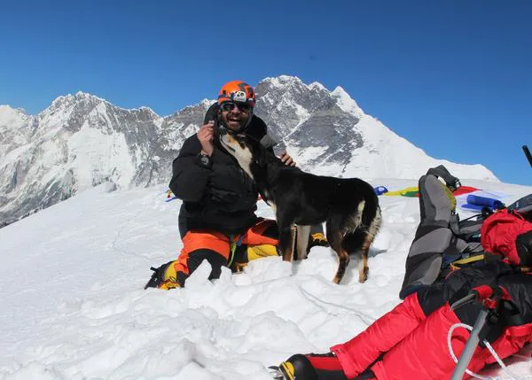 La increíble (pero cierta) historia de Baru, la perra callejera que se convirtió en perra alpinista y fue adoptada