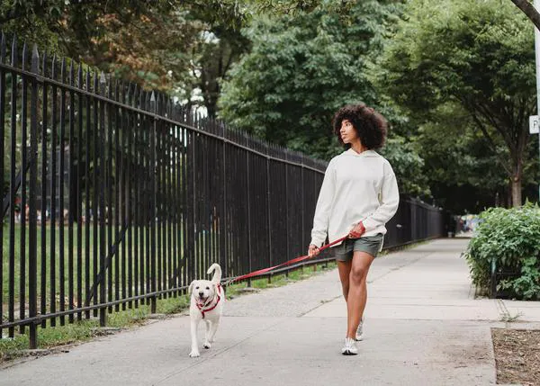La presencia de un perro influye claramente en la sensación de seguridad de las mujeres en entornos urbanos