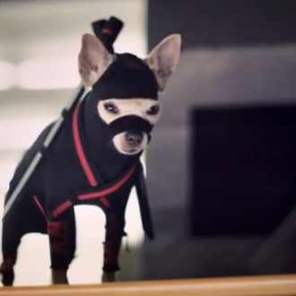El Chihuahua Ninja y otros friki anuncios de TV con …