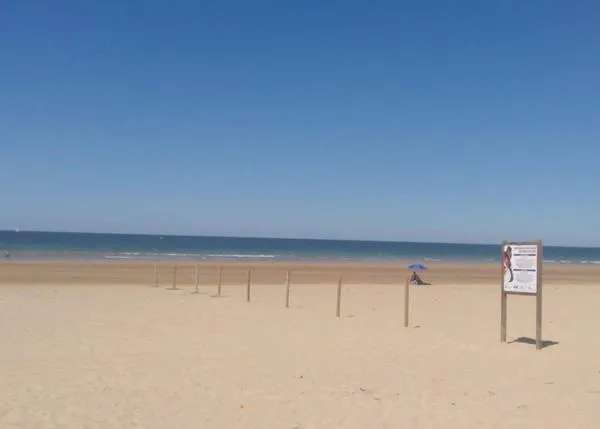 Miles de personas se movilizan contra el improvisado e incomprensible cierre de la playa canina de Noja