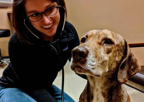 El día a día de una joven veterinaria: elogios, insultos y estrés