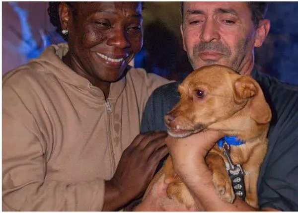 De Tuky a Pelayo y de nuevo a Tuky: la maravillosa historia del reencuentro de un perro con su familia en Valencia