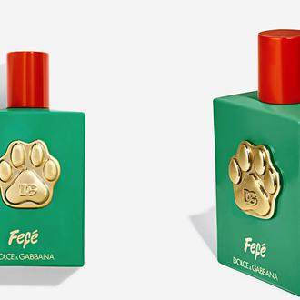 Dolce & Gabbana lanza un nuevo y exclusivo perfume para perros …