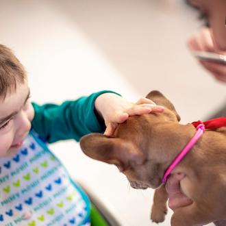 La medicina perruna: una cachorra ayuda a sonreír a niños …