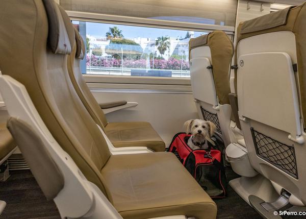 se permiten perros en los trenes de amtrak