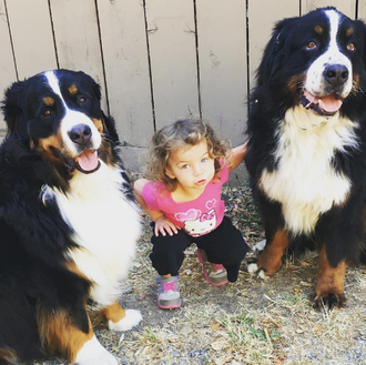 Nuevas estrellas en el instagram perri-humano: una niña y sus …