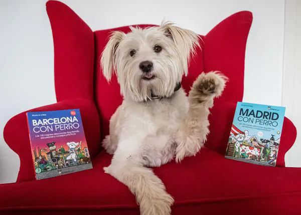 ¿Quieres conseguir un pack de libros de SrPerro? ¡Apúntate al sorteo de Mi Mascota y Yo