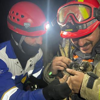 Milagrosos rescates de personas y animales en Turquía y cómo …