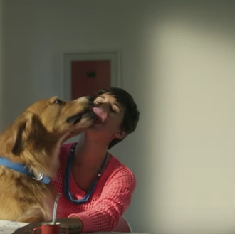 Seamos más perros: fabulosa campaña contra la discriminación en salud …