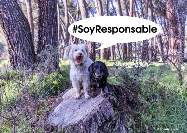#SoyResponsable: comienza la campaña de identificación, esterilización y vacunación de animales a precios reducidos
