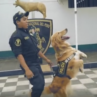 Scooby Doo PaPa y la Policía Nacional de Perú: un …