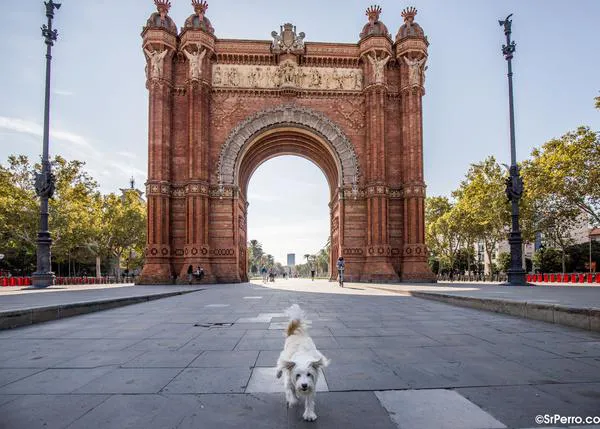 Planazo de DOGmingo solidario en Barcelona: Festa dels Animals en Ciutat Vella