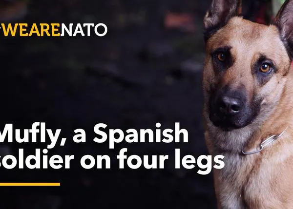 La OTAN presenta a Mufly, un perro de la UME experto en rescate de personas vivas