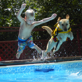 Una instructora de natación de 4 patas: una perra ayuda …