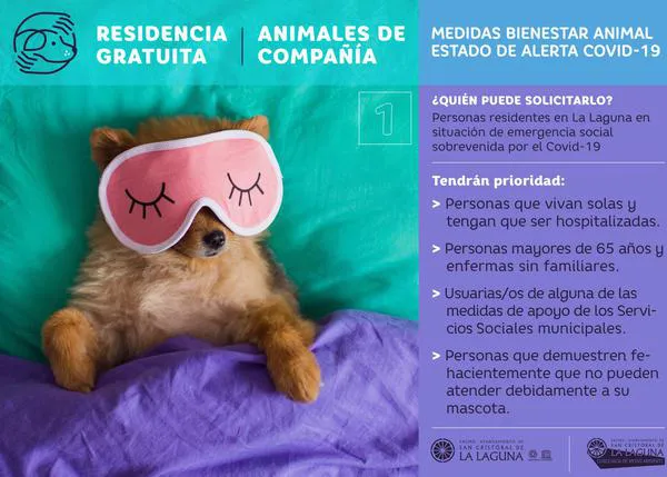 El Ayuntamiento de La Laguna lanza un servicio de residencia gratuita para animales de compañía