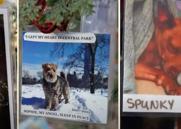 El árbol de Navidad secreto con homenajes a cientos de perros y otros animales en pleno Central Park de Nueva York