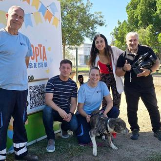 José Alberto Cruz, mejorando la vida de los perros (y …