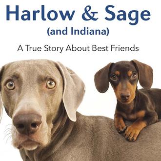 Harlow & Sage & Indiana: las aventuras de unos canes geniales, ahora …