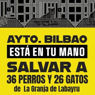 Concentración para exigir al Ayuntamiento de Bilbao que salven a …