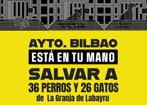 Concentración para exigir al Ayuntamiento de Bilbao que salven a 36 perros y 26 gatos en una tienda denunciada por maltrato animal
