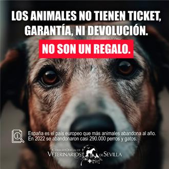 “Los animales no tienen ticket, garantía, ni devolución. No son …