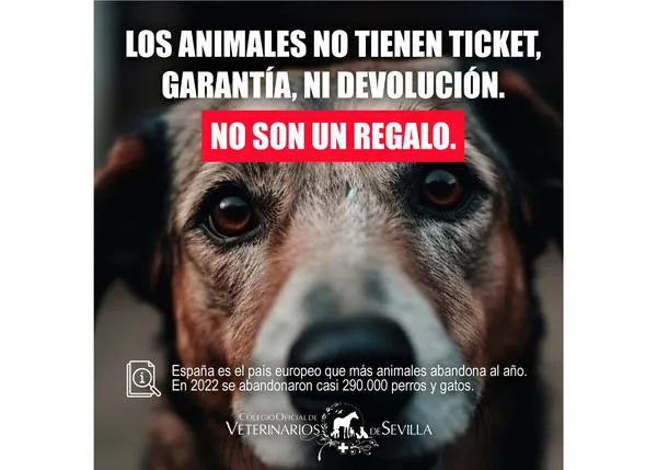 “Los animales no tienen ticket, garantía, ni devolución. No son un regalo”, el acertado mensaje de los veterinarios sevillanos