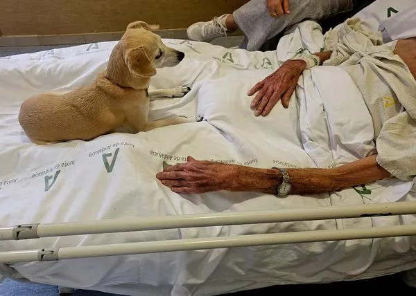 El Hospital Civil de Málaga permite a los pacientes terminales recibir la visita de sus perros para despedirse de ellos