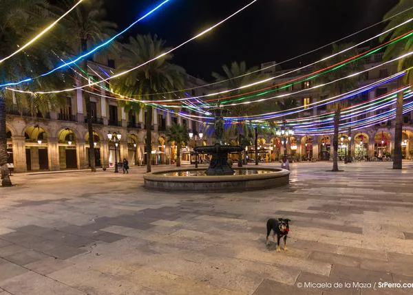 Xavier Trias responde oficialmente a la petición sobre perros sueltos en parques y playas