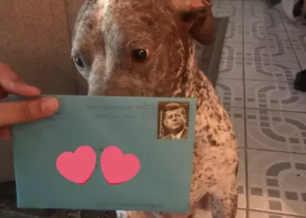 Después de 2 años separados, su ex sigue enviándole una tarjeta de cumple y un regalo... ¡a su perro!