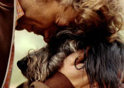Vida de perro: un cortometraje para reflexionar sobre el abandono
