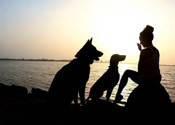 Aventuras perri-humanas en África: una pareja española que viaja con sus canes, confinados en Senegal