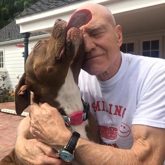 Sir Patrick Stewart obligado a buscar un nuevo hogar para …