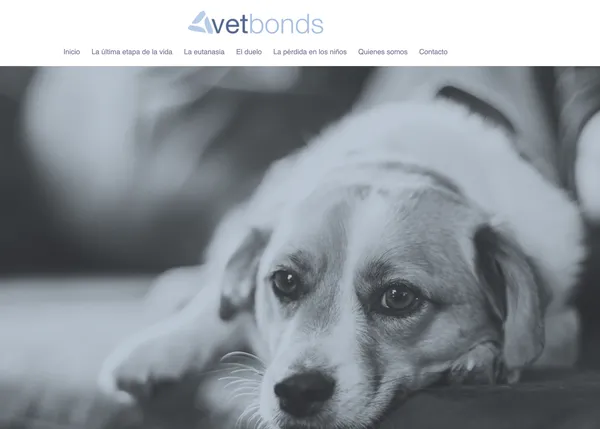 Vetbonds, la web que ofrece información científica y práctica sobre temas clave para las personas con perro: la eutanasia, el duelo...