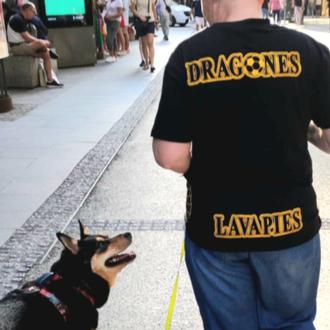 Dragones que pasean perros: un proyecto de Formación Asistida con …