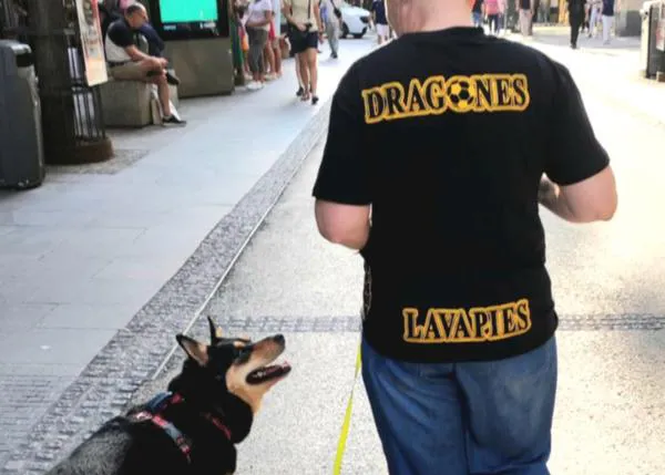 Dragones que pasean perros: un proyecto de Formación Asistida con canes en Lavapiés