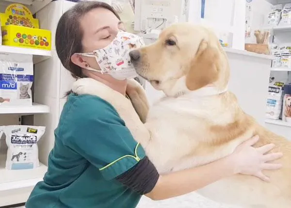 El 100% de los perros puede (y debería) estar feliz y relajado en el veterinario: pistas prácticas para lograrlo
