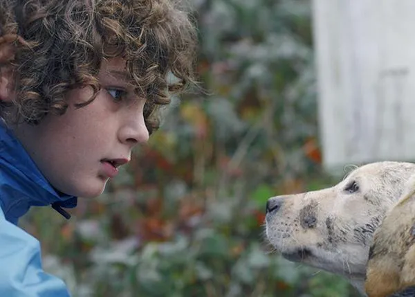La conexión entre un niño y un cachorro abandonado: un vídeo con un mensaje importante