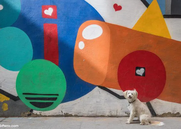 Agenda SrPerro Febrero: Carreras, museos diferentes, paseos urbanos chulos con perro y ¡mucho amor canino!