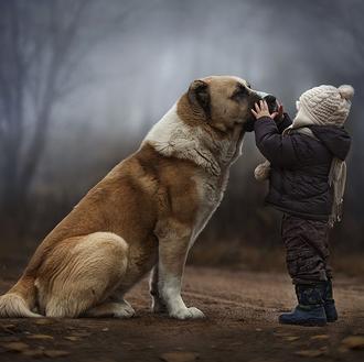 Las mágicas fotos de Elena Shumilova: niños, perros, animales y …