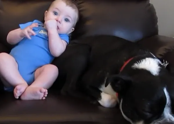 La, ejem, olorosa y accidentada relación entre un bebé y un can