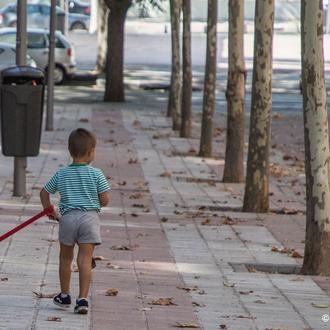 Paseos con perro en la ciudad: consejos de educadores caninos …