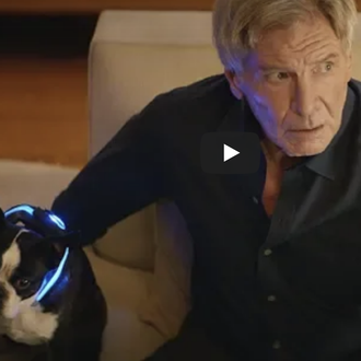 Los problemillas de Harrison Ford y su perro consumista, un …