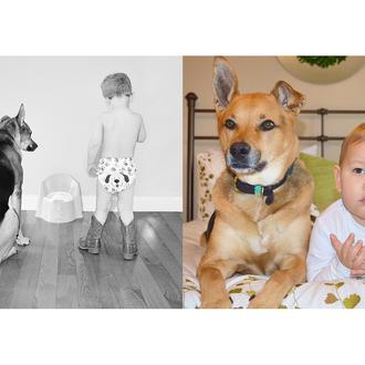 Carter y Toby: imágenes de un churumbel y su can …