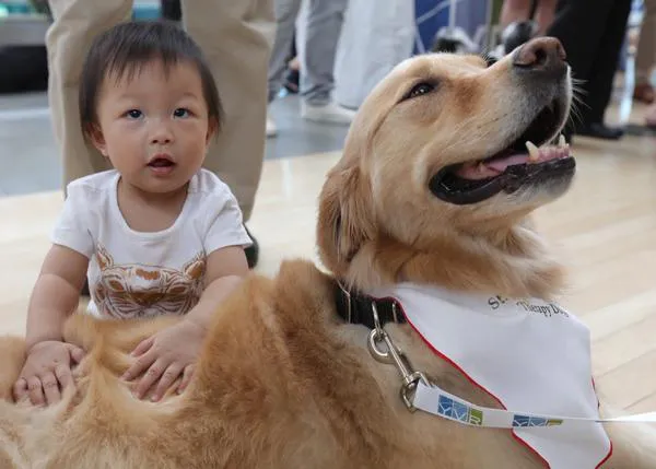 Perros de Terapia combaten el estrés de los viajeros en los aeropuertos