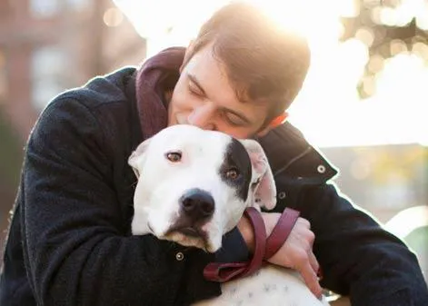 Hacer felices a los perros: un documental muestra cómo mejorar la relación entre humanos y canes